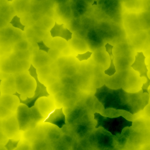 Variation 1