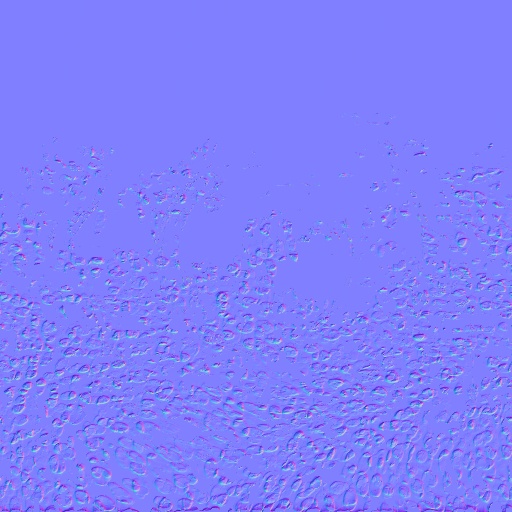 Normal Map