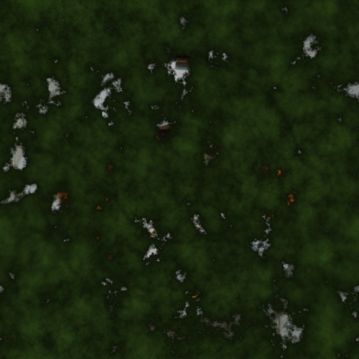 Variation 2