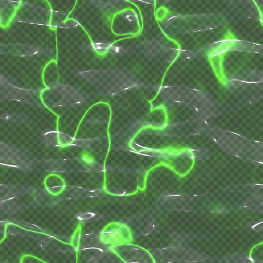 Variation 8