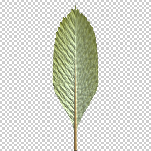 Variation 8