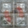 Glass Bricks