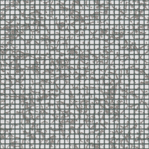 Variation 5