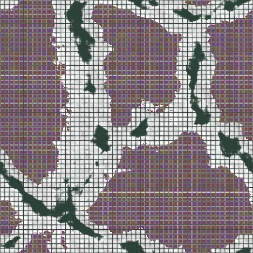 Variation 7