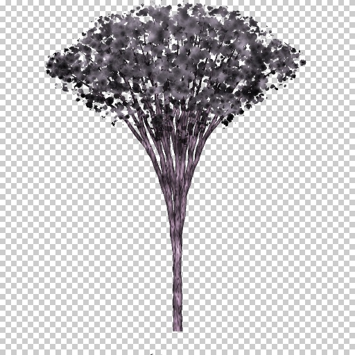 Variation 4