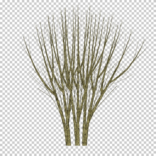 Variation 3