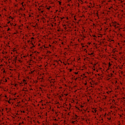 Variation 5