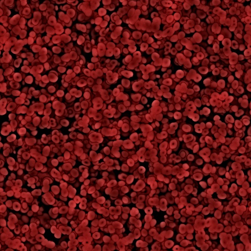 Erythrocytes (Red Blood Cells) (Texture)