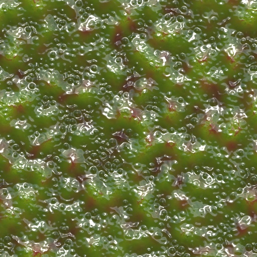 Variation 5