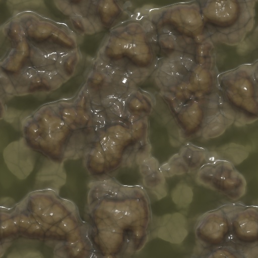 Variation 5