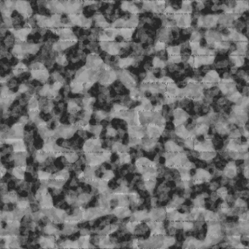 Bump Map