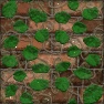 Vines on wall