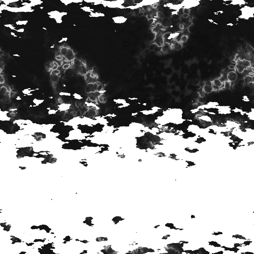 Bump Map