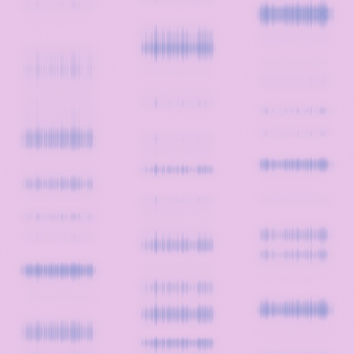 Variation 5