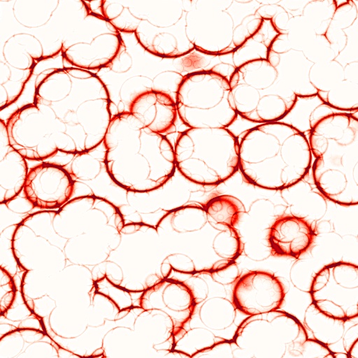 Variation 3