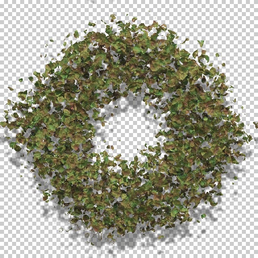 Variation 3