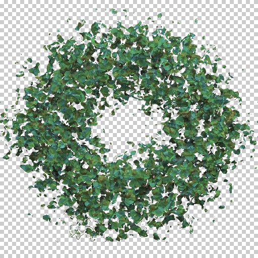 Variation 4