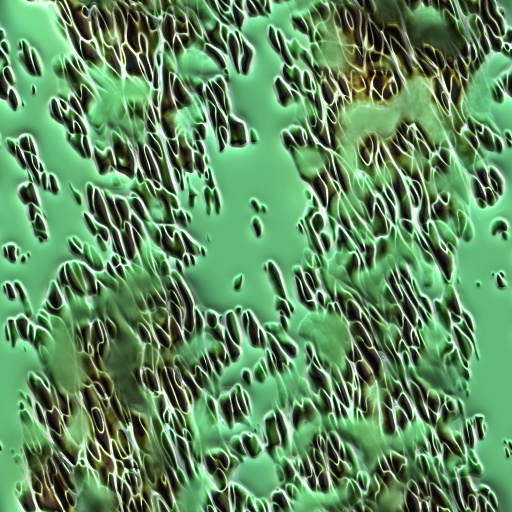 Variation 8