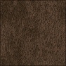 treebark