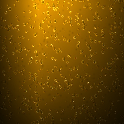 Variation 5