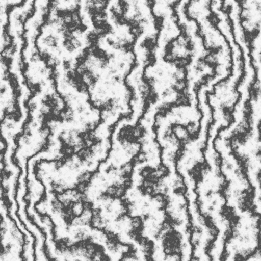Bump Map