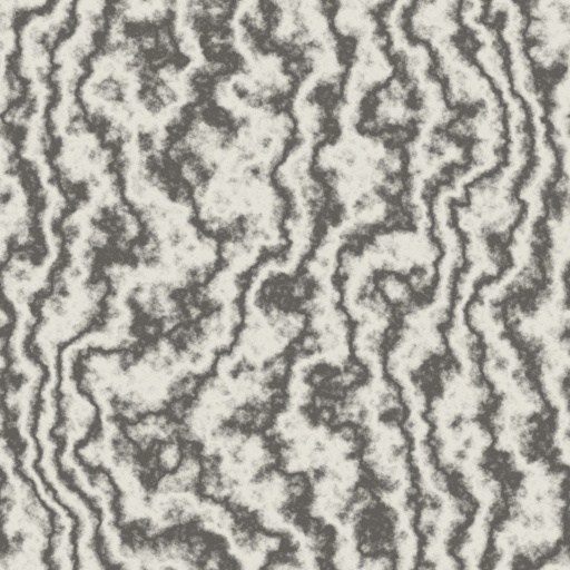 Classic Marble (Texture)