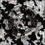 Broken World