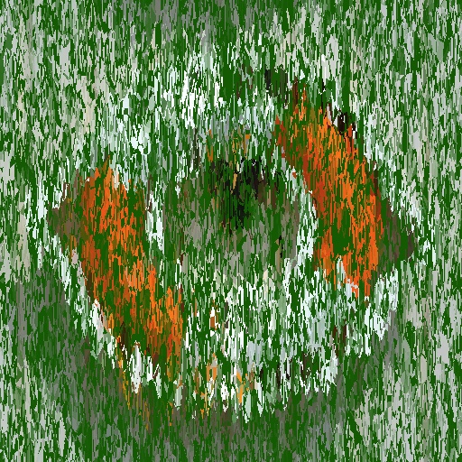 Variation 6