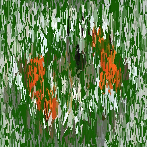 Variation 8