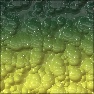 Dragon Skin