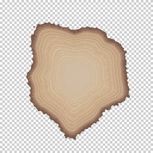 Dendrochronology by Sjeiti