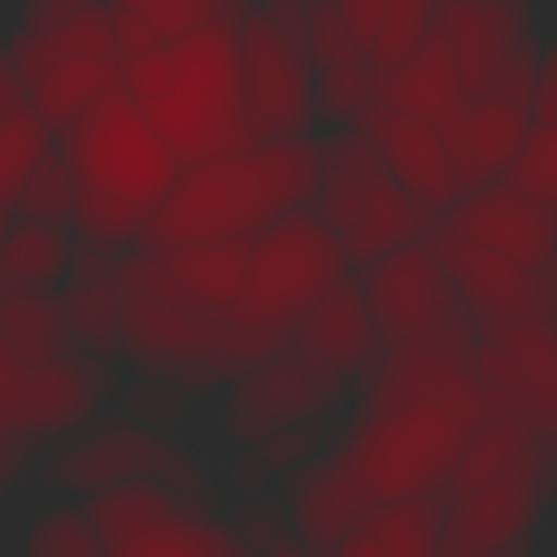 Inner Blood Vessels (Texture)