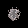 Alien Designs