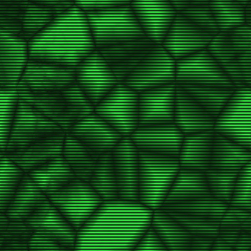 Variation 8