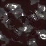 Liquid Black