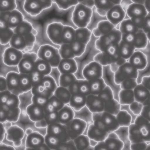 Diffuse Map