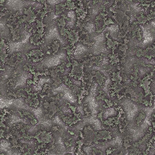 Variation 8