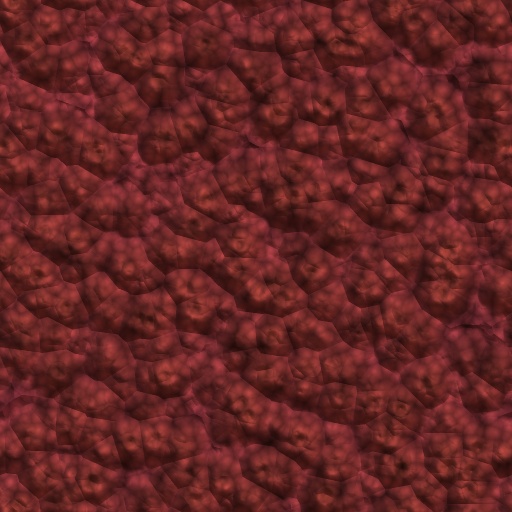 Variation 8