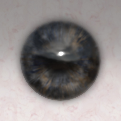Variation 8