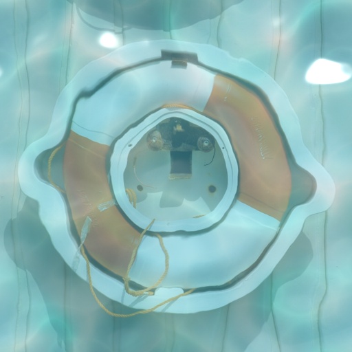In the pool (Effect)