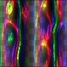 Ronjonie Liquid Glass 3