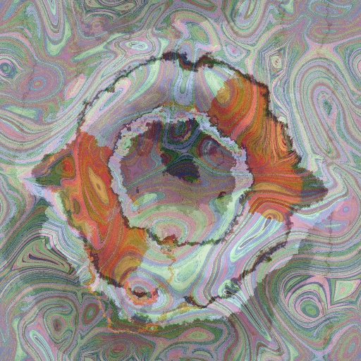 Variation 3