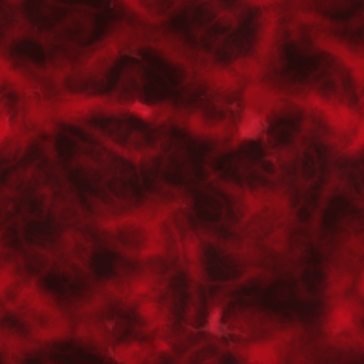 Diffuse Map