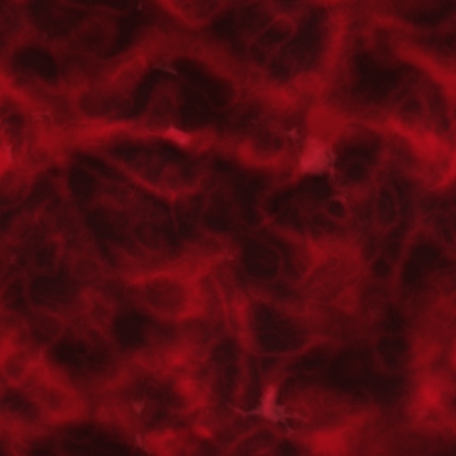 Horror (Texture)
