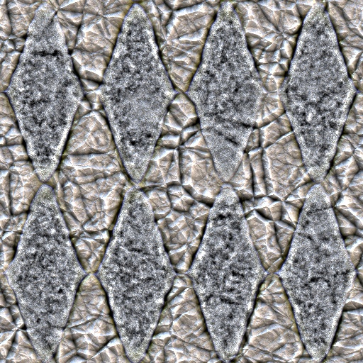 Variation 7