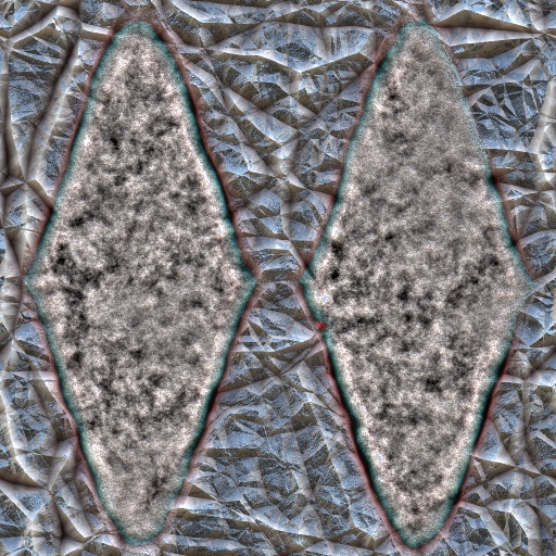 Variation 8