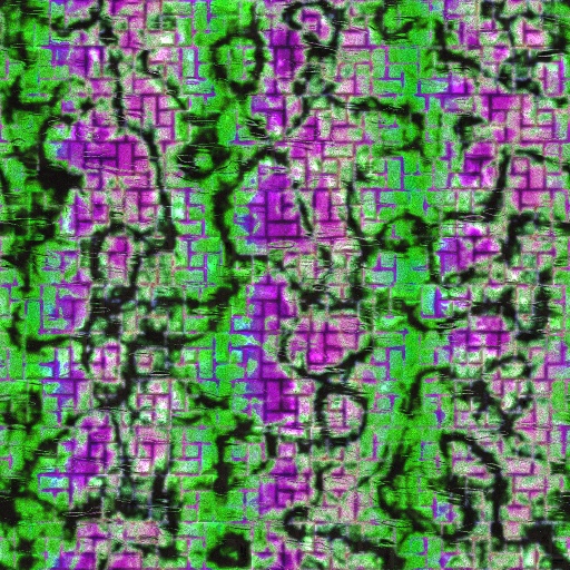 Variation 8
