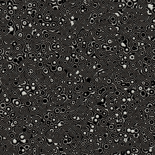 Variation 8