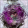 Ronjonie Frozen