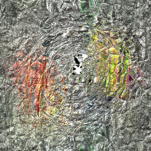 Variation 7